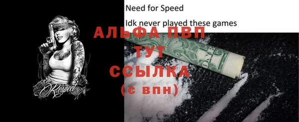 стаф Новодвинск