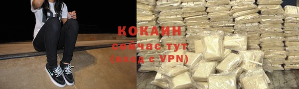 трава Новокубанск