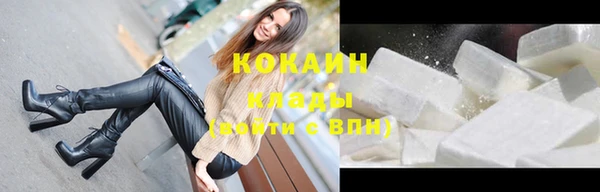 стаф Новодвинск