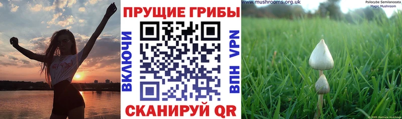 Галлюциногенные грибы мухоморы  Купить  Кораблино 