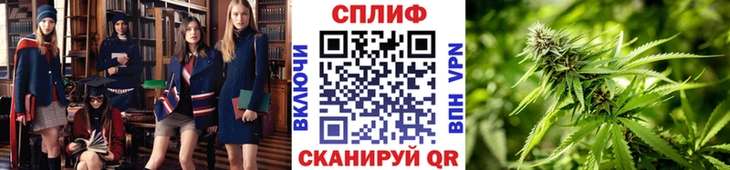 Конопля ГИДРОПОН  Купить закладки  Кораблино 